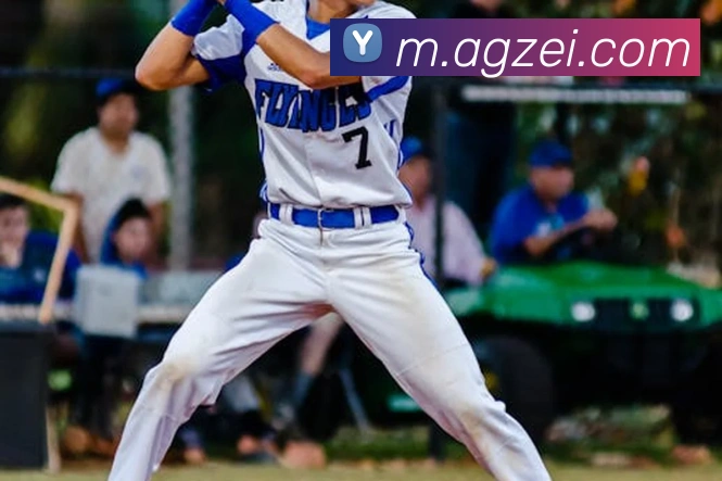 ag官网平台生态图